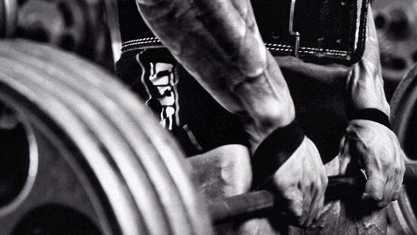 Gym Equipment